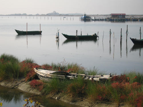 Isola di Polesine Camerini - Porto Tolle, Delta del Po