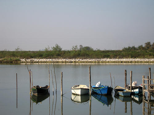 Isola di Polesine Camerini - Porto Tolle, Delta del Po