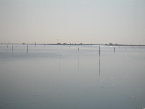 Isola di Polesine Camerini - Porto Tolle, Delta del Po