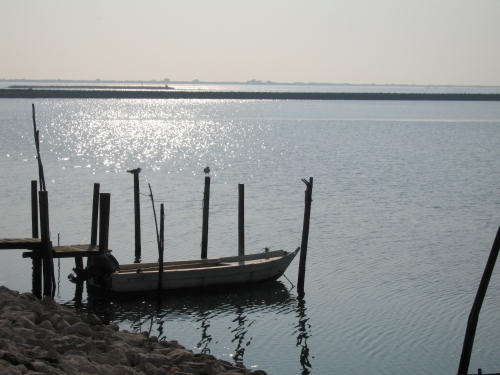 Isola di Polesine Camerini - Porto Tolle, Delta del Po