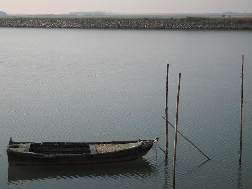 Isola di Polesine Camerini - Porto Tolle, Delta del Po