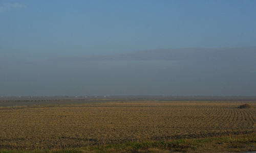 la campagna di Porto Tolle lungo gli argini della Sacca Scardovari