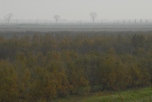 la campagna di Porto Tolle lungo gli argini della Sacca Scardovari