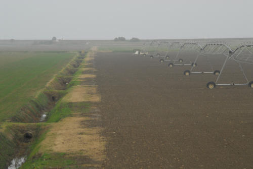 la campagna di Porto Tolle lungo gli argini della Sacca Scardovari