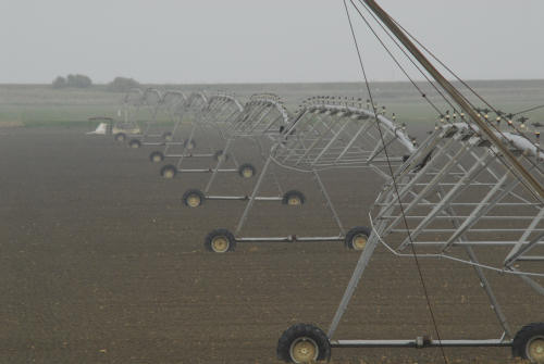 la campagna di Porto Tolle lungo gli argini della Sacca Scardovari