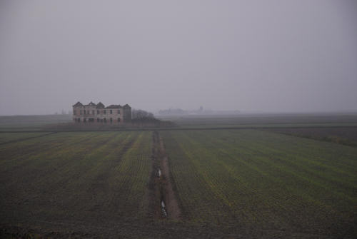 la campagna di Porto Tolle lungo gli argini della Sacca Scardovari