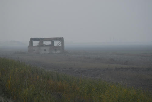 la campagna di Porto Tolle lungo gli argini della Sacca Scardovari