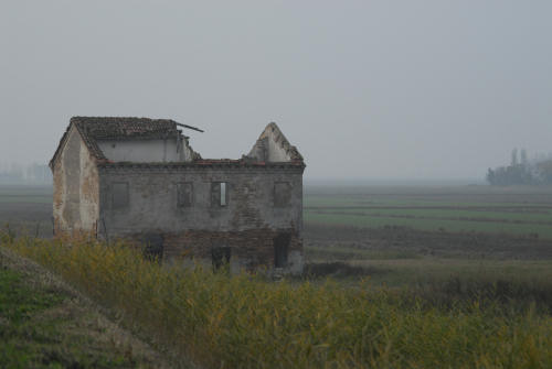 la campagna di Porto Tolle lungo gli argini della Sacca Scardovari