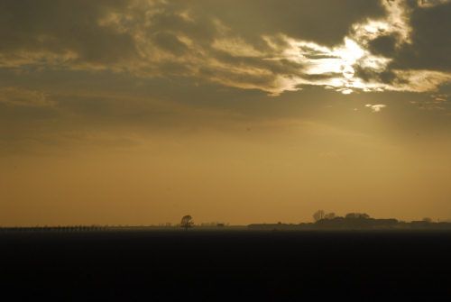 la campagna di Porto Tolle lungo gli argini della Sacca Scardovari