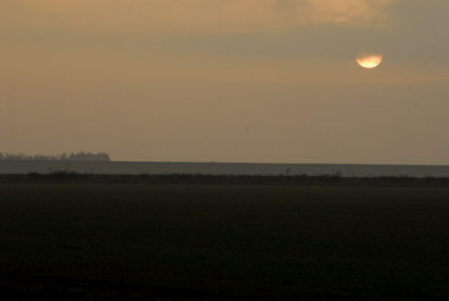 la campagna di Porto Tolle lungo gli argini della Sacca Scardovari