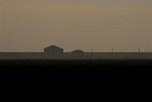 la campagna di Porto Tolle lungo gli argini della Sacca Scardovari