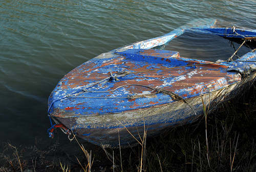 lungo gli argini della Sacca degli Scardovari a Porto Tolle