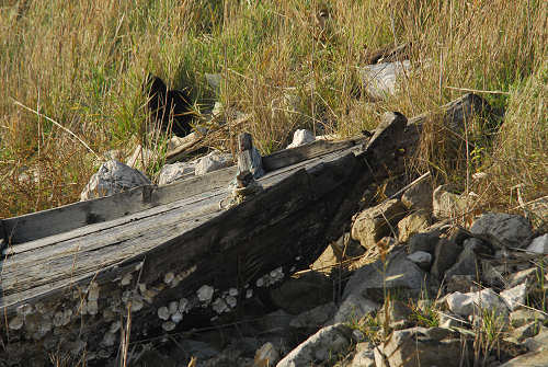 lungo gli argini della Sacca degli Scardovari a Porto Tolle