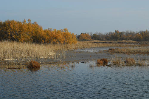 lungo gli argini della Sacca degli Scardovari a Porto Tolle
