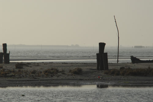 lungo gli argini della Sacca degli Scardovari a Porto Tolle