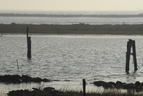 lungo gli argini della Sacca degli Scardovari a Porto Tolle