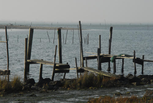 lungo gli argini della Sacca degli Scardovari a Porto Tolle