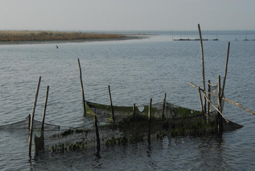 lungo gli argini della Sacca degli Scardovari a Porto Tolle