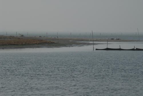 lungo gli argini della Sacca degli Scardovari a Porto Tolle