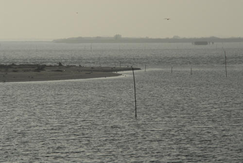 lungo gli argini della Sacca degli Scardovari a Porto Tolle