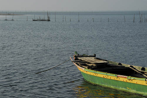 lungo gli argini della Sacca degli Scardovari a Porto Tolle