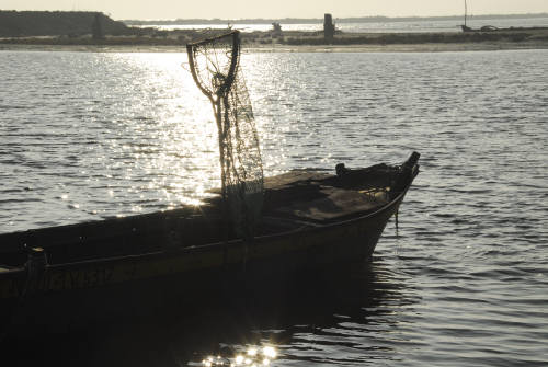 lungo gli argini della Sacca degli Scardovari a Porto Tolle