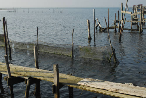 lungo gli argini della Sacca degli Scardovari a Porto Tolle