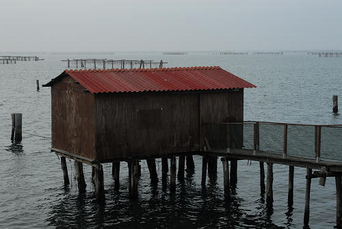 lungo gli argini della Sacca degli Scardovari a Porto Tolle