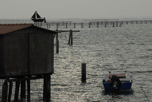 lungo gli argini della Sacca degli Scardovari a Porto Tolle
