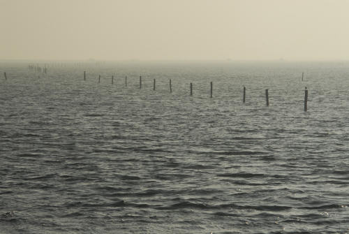 lungo gli argini della Sacca degli Scardovari a Porto Tolle