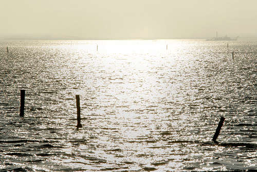 lungo gli argini della Sacca degli Scardovari a Porto Tolle