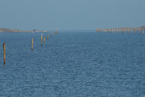 lungo gli argini della Sacca degli Scardovari a Porto Tolle