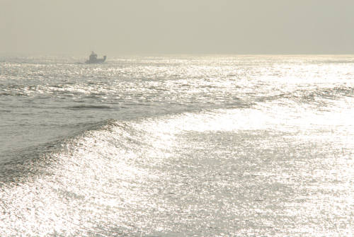 lungo gli argini della Sacca degli Scardovari a Porto Tolle