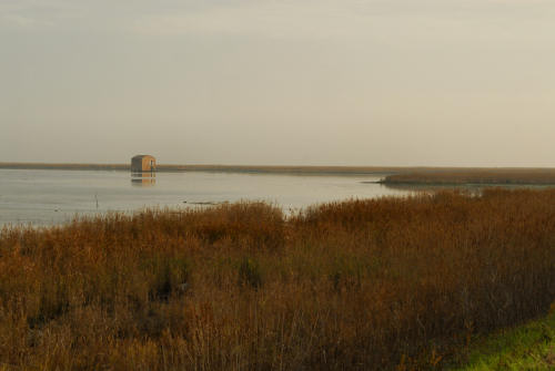 lungo gli argini della Sacca degli Scardovari a Porto Tolle