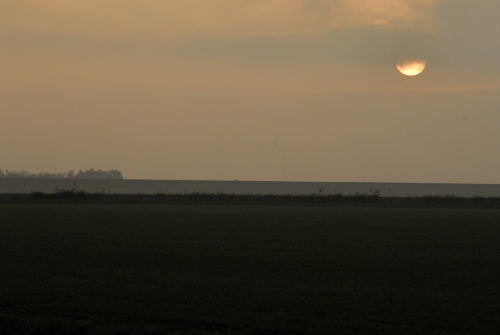 lungo gli argini della Sacca degli Scardovari a Porto Tolle
