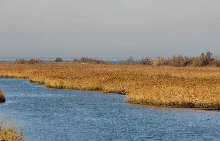 spiaggia di Boccasette alla foce del Po di Maistra, Porto Tolle