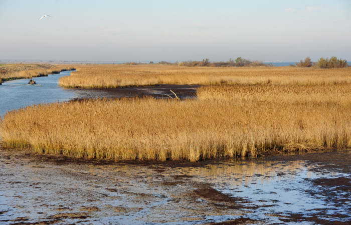 spiaggia di Boccasette alla foce del Po di Maistra, Porto Tolle