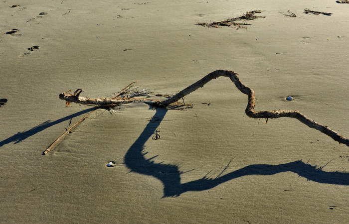 spiaggia di Boccasette alla foce del Po di Maistra, Porto Tolle
