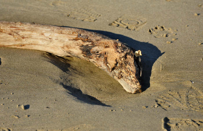 spiaggia di Boccasette alla foce del Po di Maistra, Porto Tolle