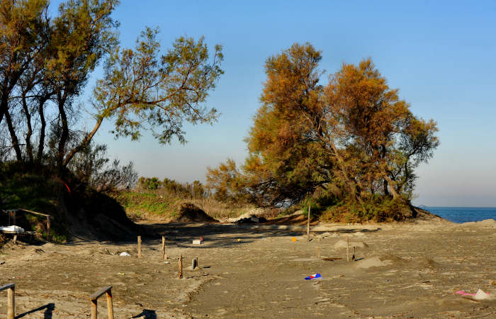 spiaggia di Boccasette alla foce del Po di Maistra, Porto Tolle