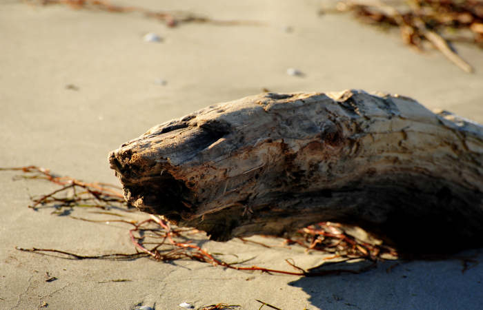 spiaggia di Boccasette alla foce del Po di Maistra, Porto Tolle