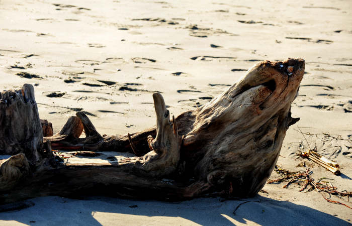 spiaggia di Boccasette alla foce del Po di Maistra, Porto Tolle
