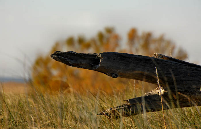 spiaggia di Boccasette alla foce del Po di Maistra, Porto Tolle