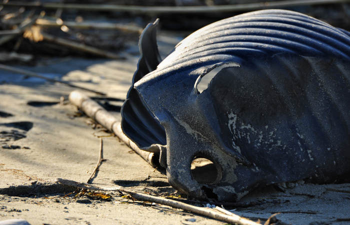 spiaggia di Boccasette alla foce del Po di Maistra, Porto Tolle