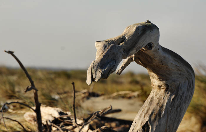 spiaggia di Boccasette alla foce del Po di Maistra, Porto Tolle