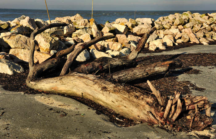 spiaggia di Boccasette alla foce del Po di Maistra, Porto Tolle