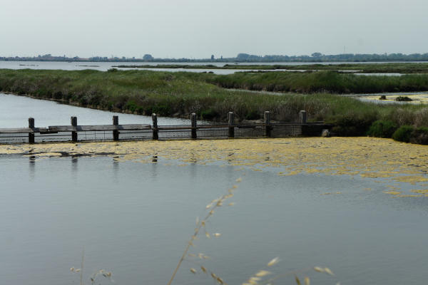 strada delle valli di Rosolina laguna di Caleri