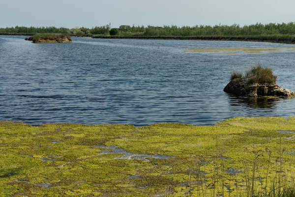 strada delle valli di Rosolina laguna di Caleri