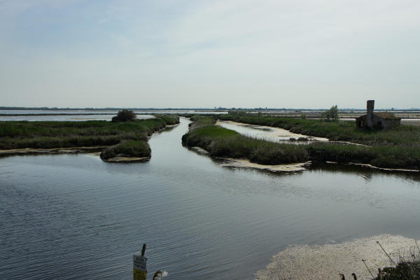 strada delle valli di Rosolina laguna di Caleri