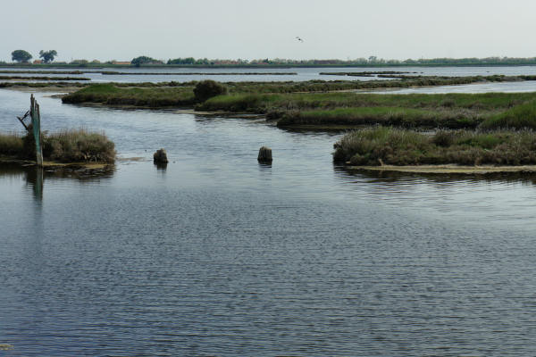 strada delle valli di Rosolina laguna di Caleri